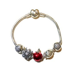 Pandora bracelet with 5 charms.